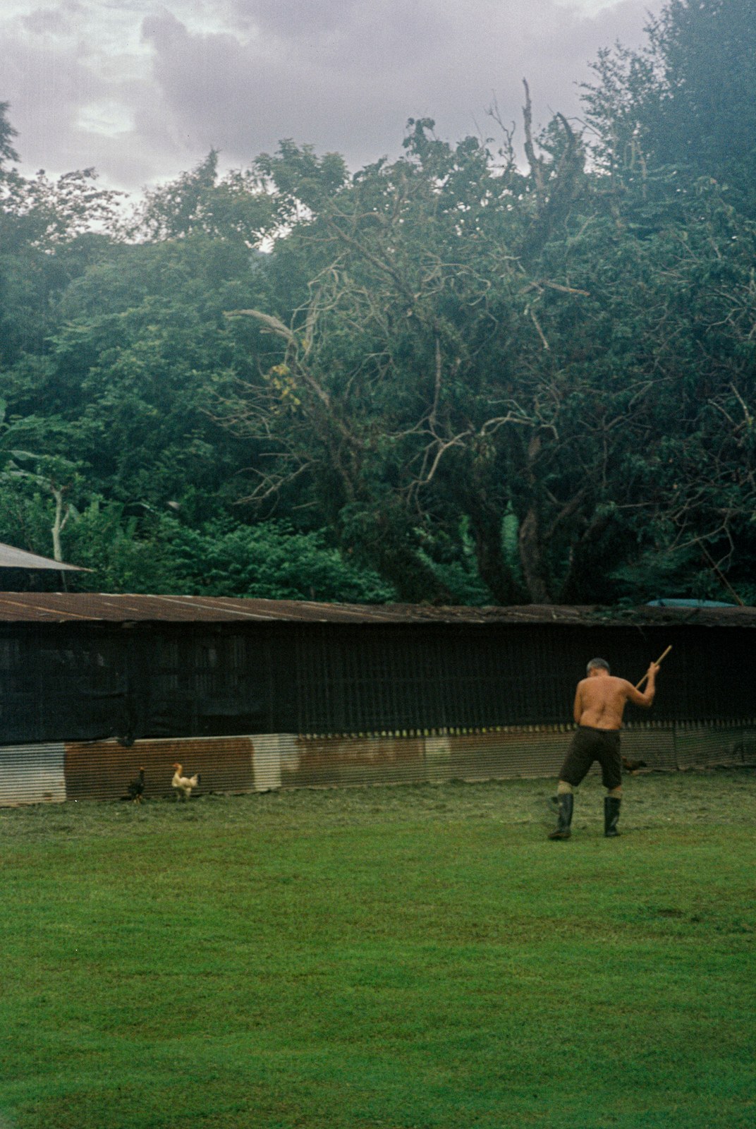 A man watering a green field