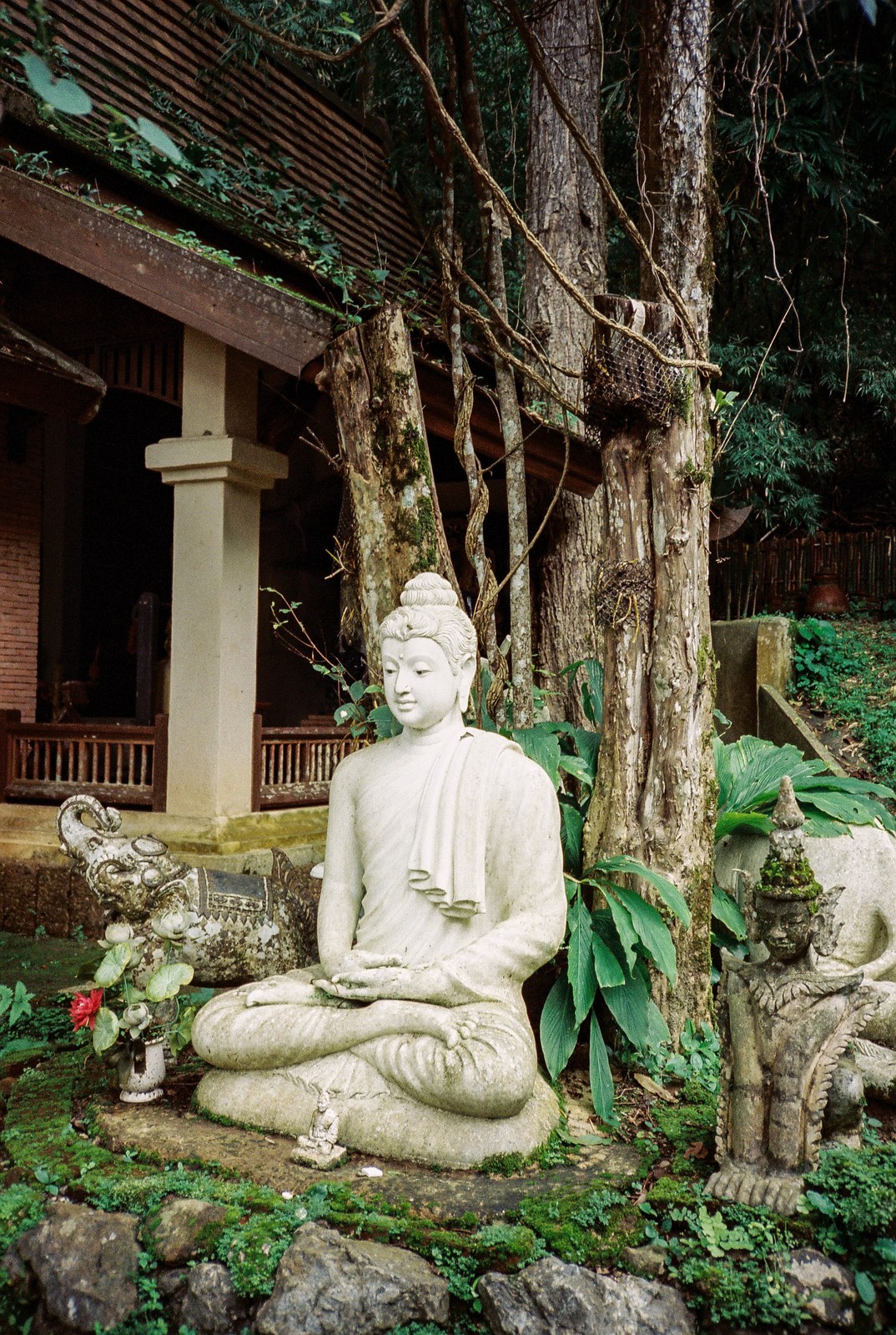 A stone Buddha among the trees