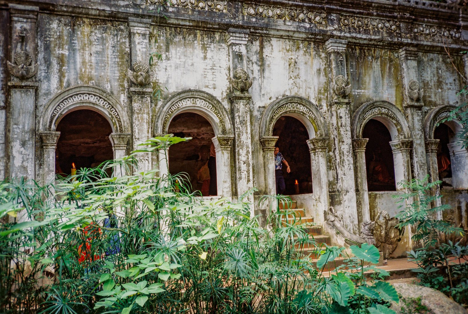 The temple arches behind the leaves